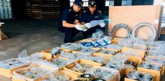 Недавние операции с контрафактными подшипниками в Китае и России