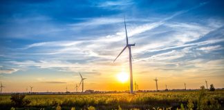 Liebherr предлагает новые сервисные возможности для подшипников лопастей